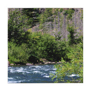Rushing river with trees and brush in the foreground and background.