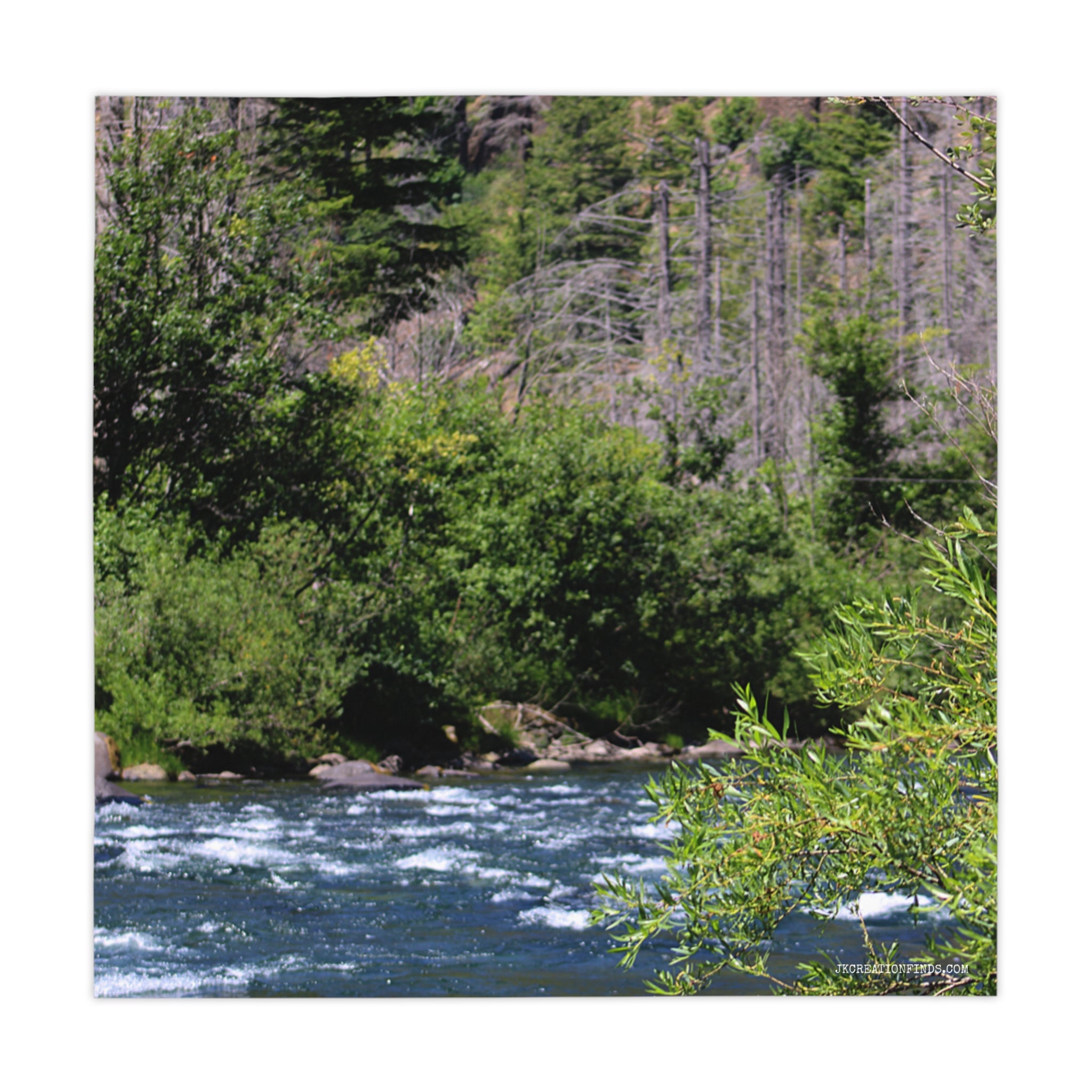 Rushing river with trees and brush in the foreground and background.