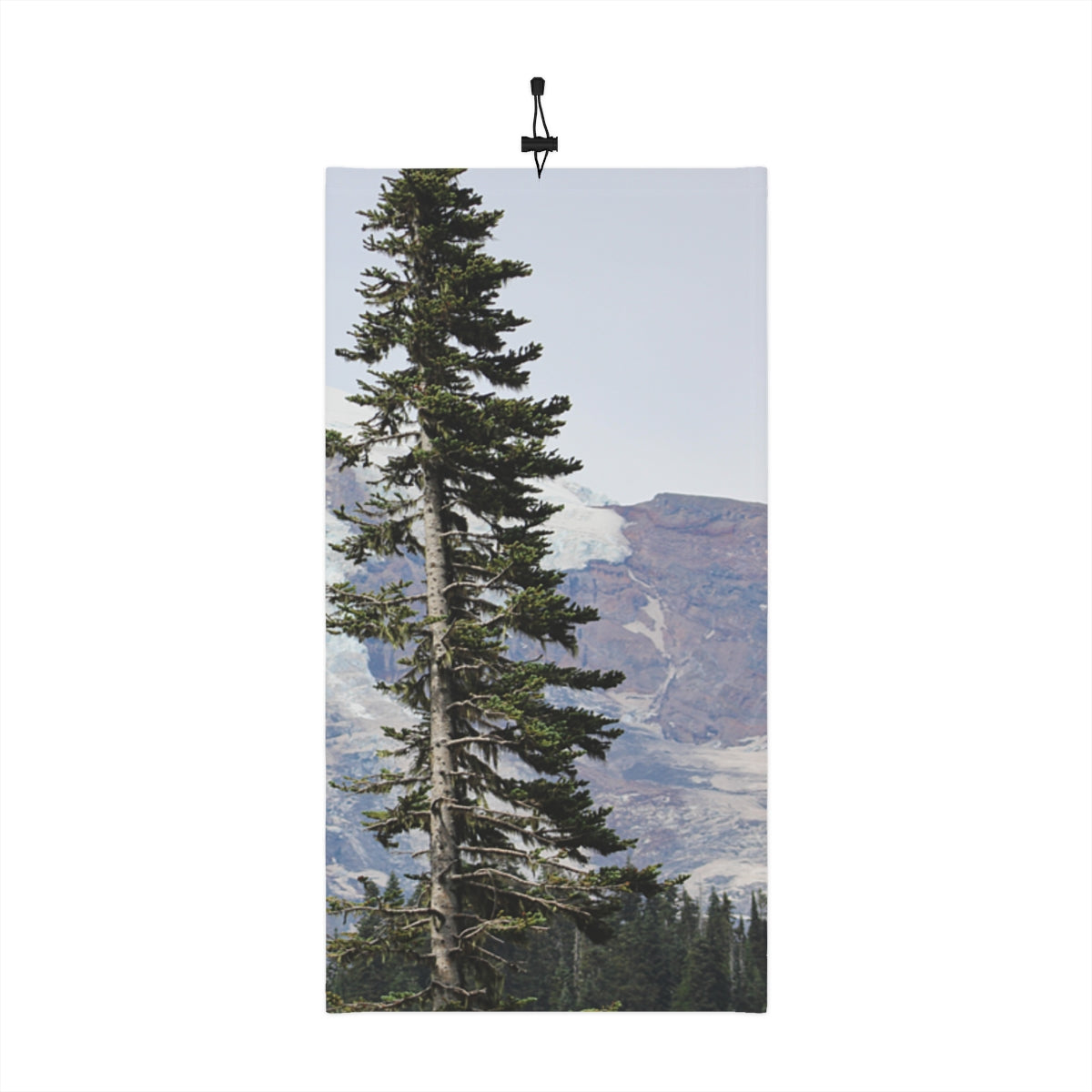 Majestic Mountain View with Tall Pine Tree product