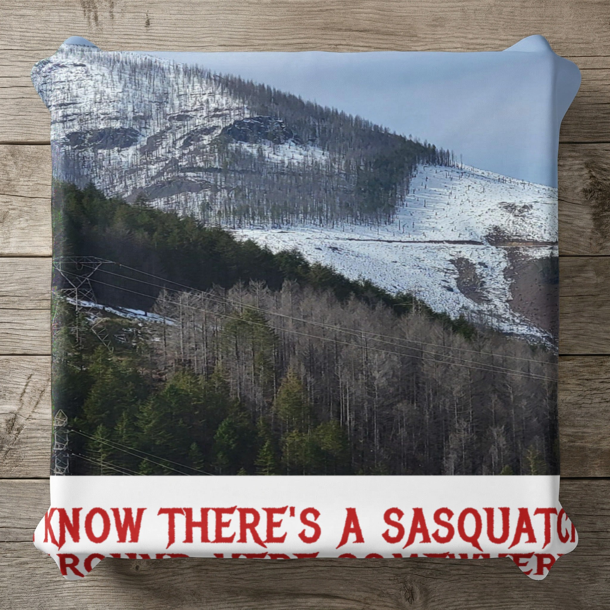 Mountain landscape with power lines and text "KNOW THERE'S A SASQUATCH".