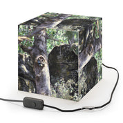 Raccoon Peeking Tree Nature Cube Light Box product type