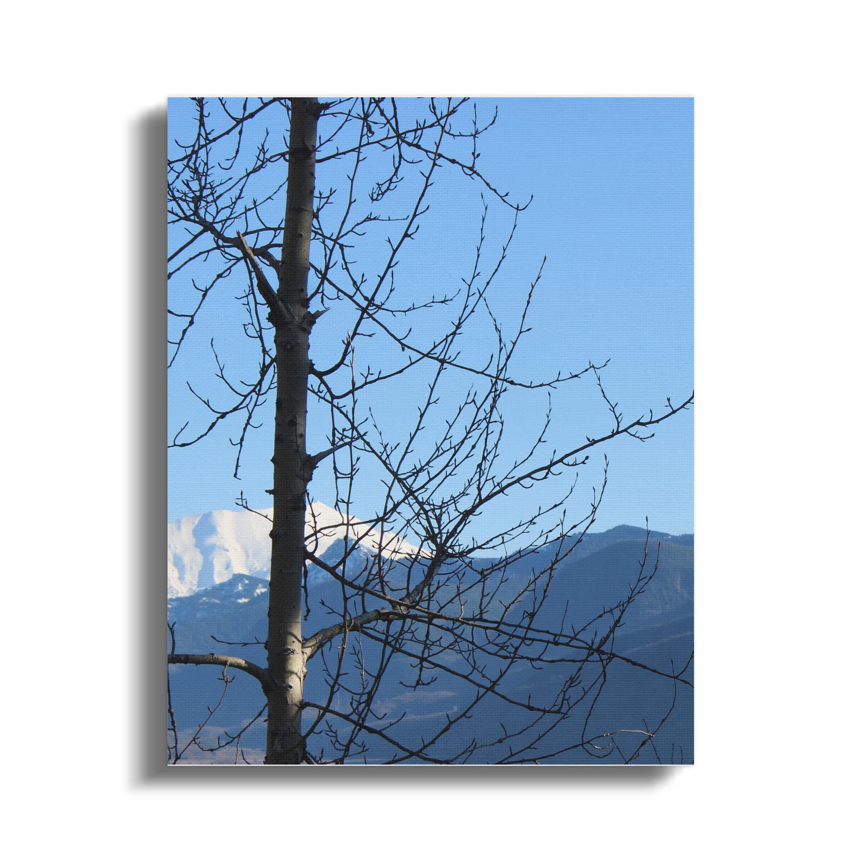 f987eb29-3f72-4560-bd13-17c3909bc7f2