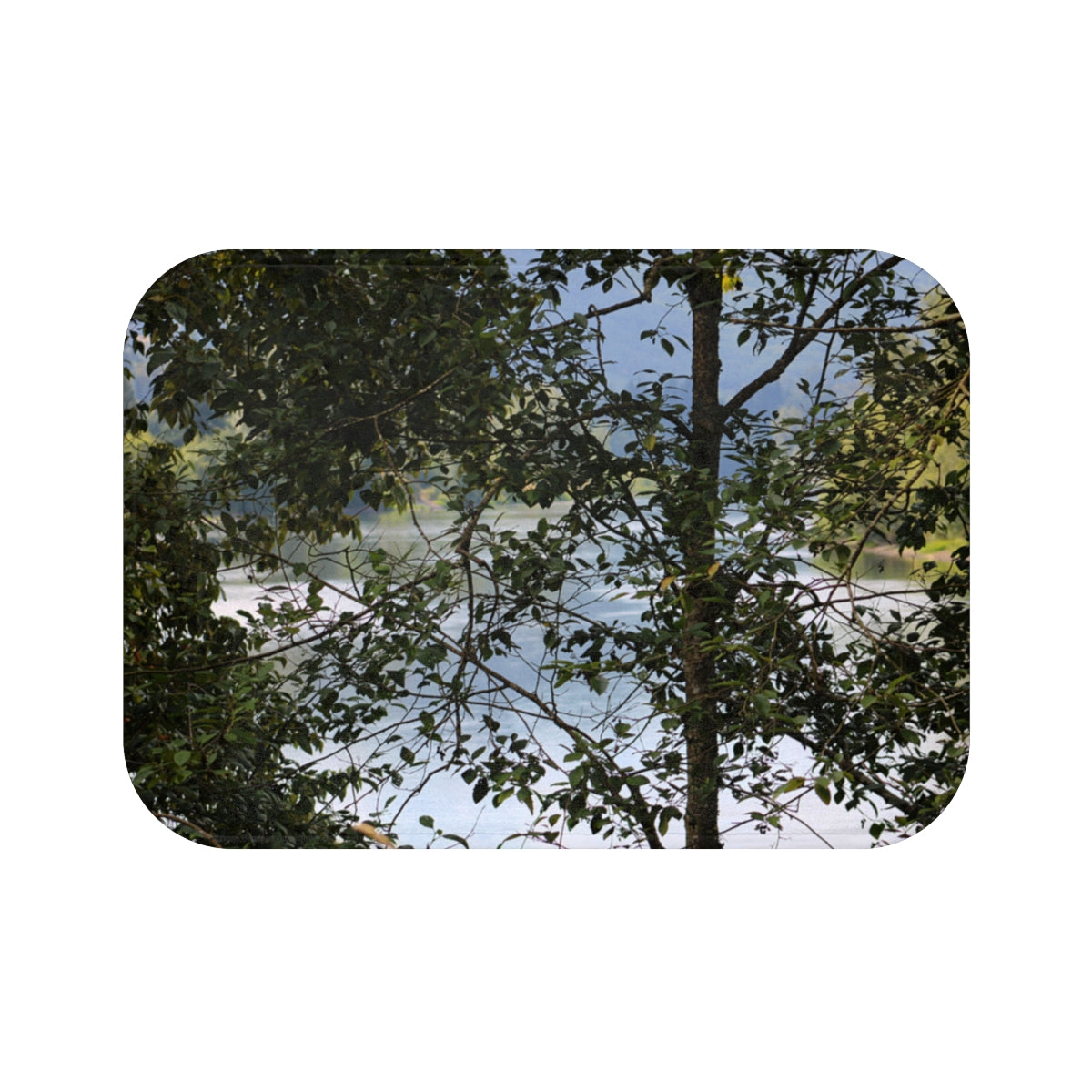 Scenic Overlook Through Forest Trees Landscape product