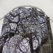 Branches with Budding Leaves Shower Curtain Product