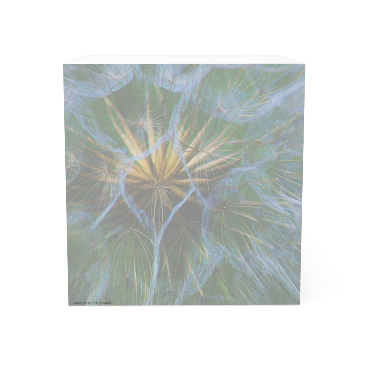 Dandelion Seed Head Macro Premium Art Box Canvas