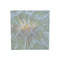 Dandelion Seed Head Macro Premium Art Box Canvas