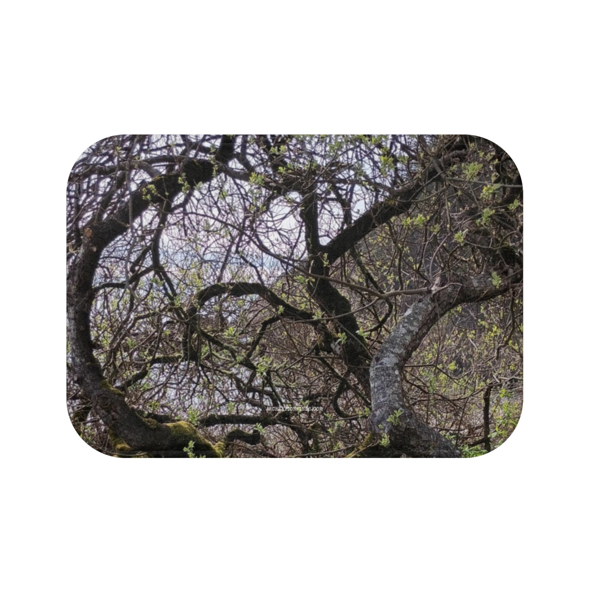 Scenic Forest Nature View Featuring Tree Branches Mat