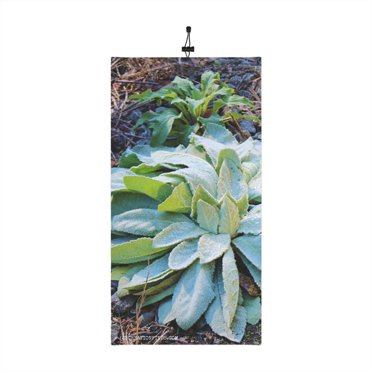 Frosty Green Leafy Plant Nature Wall Art Decor